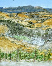 Montalcino, 2010, olio su tela, cm 30x40