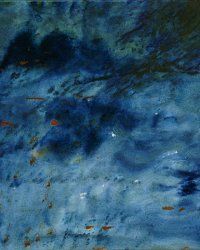 Chaetodon, 2001, olio su tela, cm 50x60